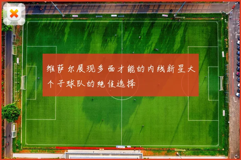 维萨尔展现多面才能的内线新星大个子球队的绝佳选择
